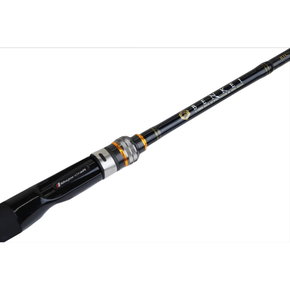 varamajorbenkeiinterica2 1