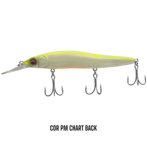 r1 glx pm chart back photoroom