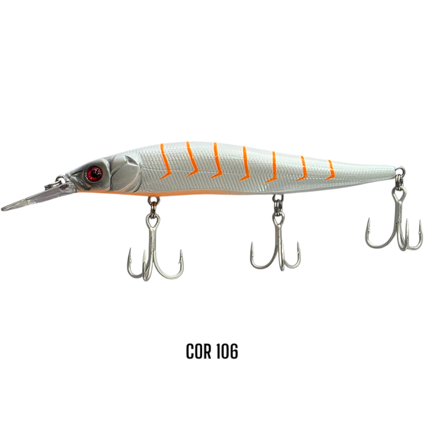 fenix 110 106 photoroom