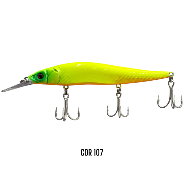 fenix 110 107 photoroom 1