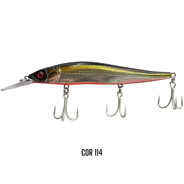 fenix 110 114 photoroom 1