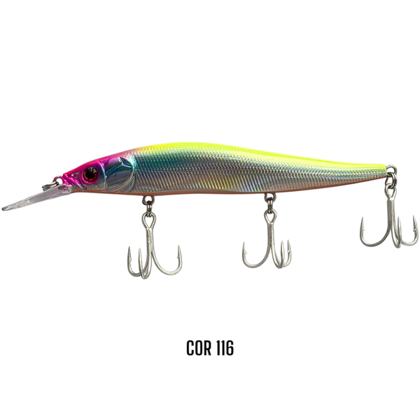 fenix 110 116 photoroom 1