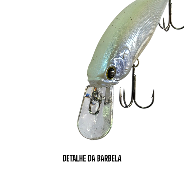 pointer 100 dd barbela photoroom