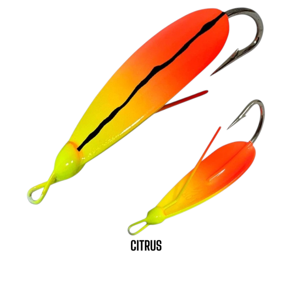 citrus photoroom photoroom 1