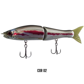 claw 148 cor 02 photoroom