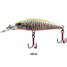 raptor shad cor n3 1