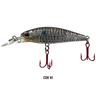 raptor shad cor n1 1